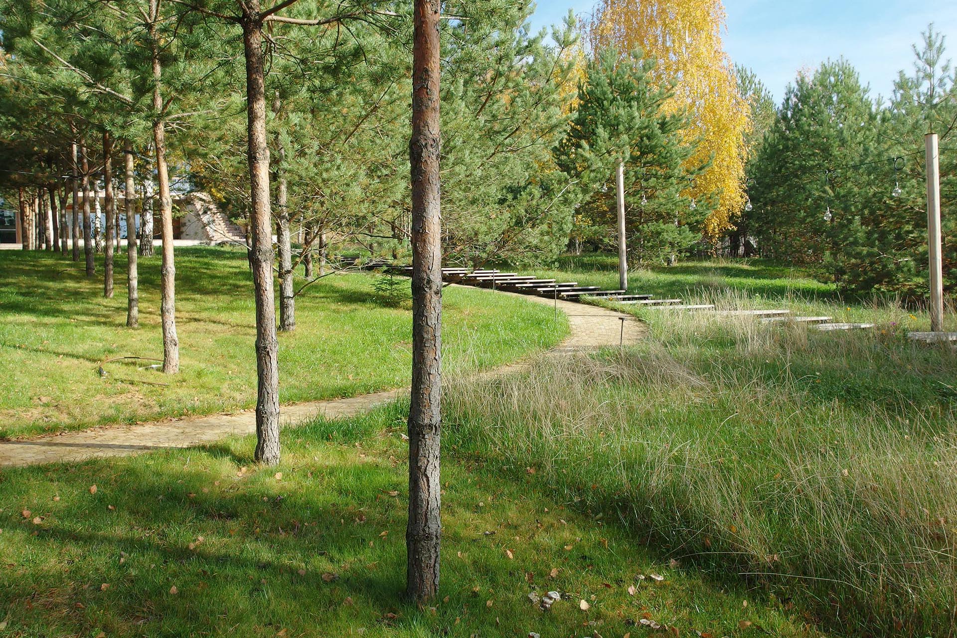 Djao-Rakitine Bois féerique, Région de Moscou
